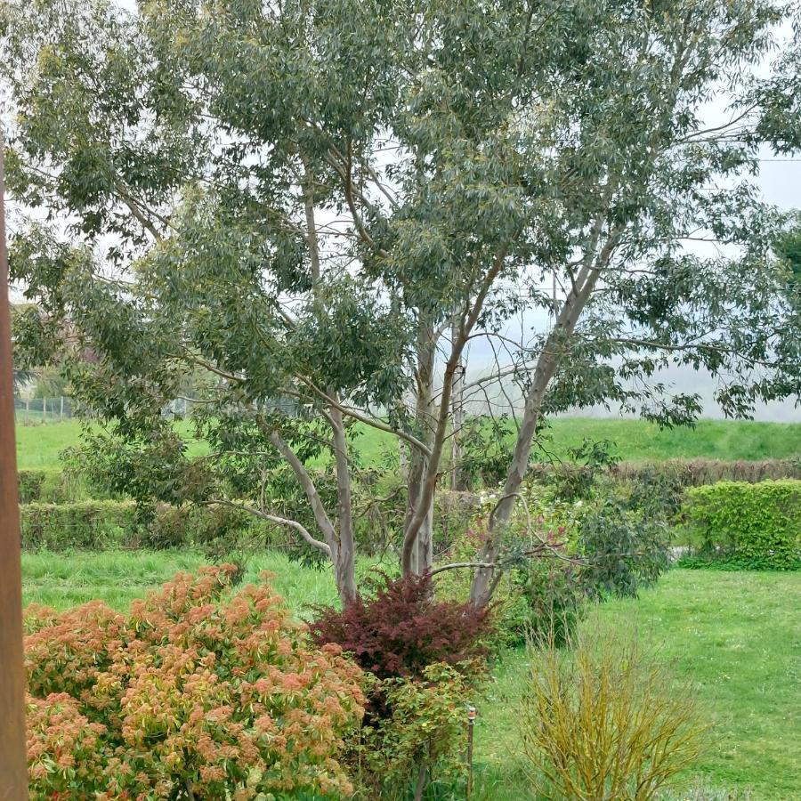 Detente a la campagne Myennes Exterior foto